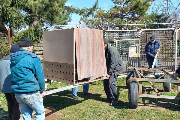 Из зоопарка в Одесской области эвакуировали хищников