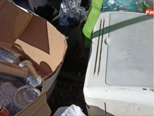 Ярмарка мародерства: в Білорусі окупанти відкрили базар, де продають награбоване, що не встигли відправити поштою до рф