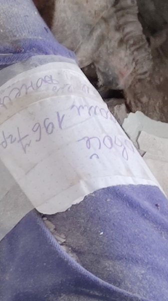 Вбиті снарядом батько та син майже місяць пролежали у квартирі в Ірпіні