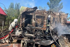 Ликвидация последствий ракетного удара и помощь животным: как прошли сутки у одесских спасателей