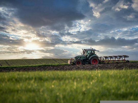Чому підприємців та фермерів можуть звинуватити у колабораціонізмі за роботу в окупації: розповів експерт