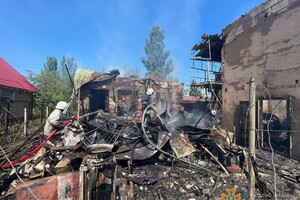 Ликвидация последствий ракетного удара и помощь животным: как прошли сутки у одесских спасателей