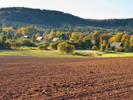 Окупанти погрожують відібрати в українців землю і вводять свою податкову систему