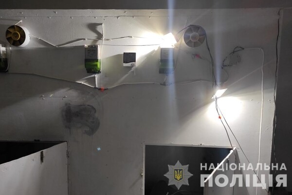 В Одесской области россиянин выращивал и сбывал наркотики