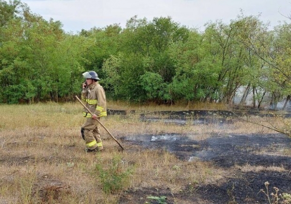 В Одесской области предупреждают о высокой пожарной опасности