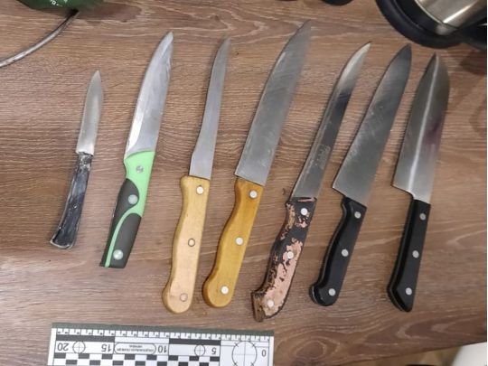 Сімейна сварка закінчилася вбивством: під Києвом чоловік убив та розчленував власного сина