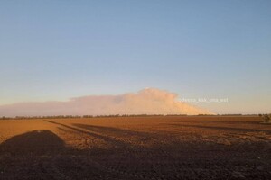 Пожар на территории Дунайского биосферного заповедника потушил дождь