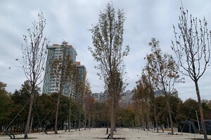 Как в Одессе готовят мемориал погибшим защитникам Украины (фото, видео)