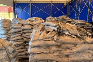 В одесском порту нашли "черный" кокаин на 15 миллионов гривен
