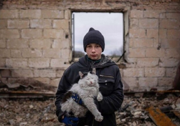 Карта боевых действий в Украине 8 декабря