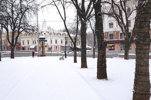 Гололед и санки: в Одессу пришла настоящая зима (фото)