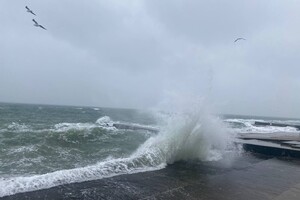 Снегопад и шторм на море: как удивляла погода в Одессе последние дни 