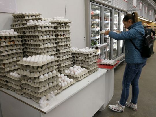 В Україні змінили правила продажу курячих яєць: їх поділять на два класи