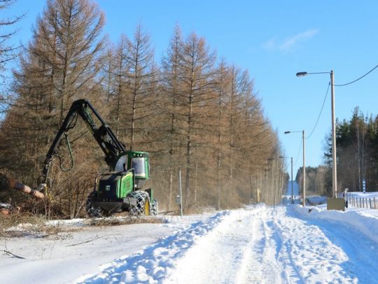 Краще бути напоготові: фіни будують довжелезний паркан на кордоні з рф