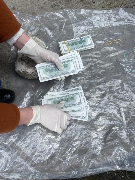 Намагалася продати немовля за 30 тисяч доларів: у Луцьку затримали зловмисницю