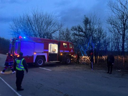 Смертельна ДТП на Київщині: авто вилетіло у кювет та перекинулось, є загиблі, серед постраждалих — дитина