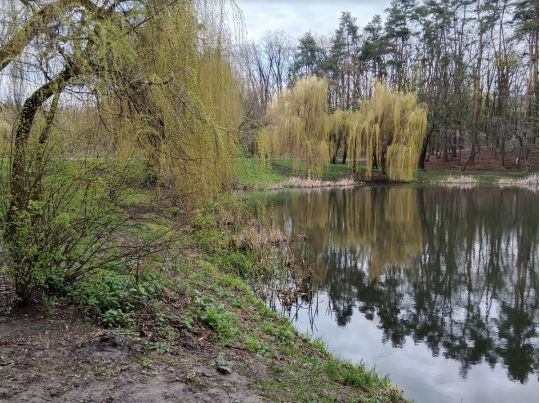 Потрібне тепло — чекайте літа: які сюрпризи приготувала погода на найближчі дні
