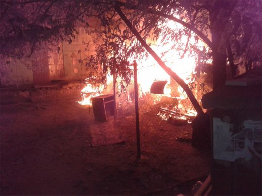 У Києві невідомі спалили притулок для кішок, десятки тварин загинули (фото, відео)