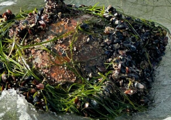 У побережья Черноморска подорвали морскую мину
