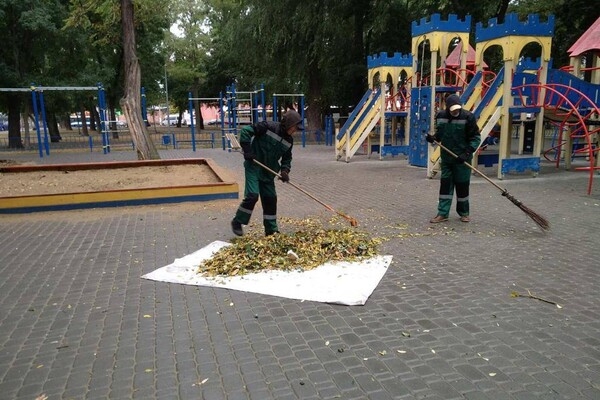 Непогода: сильный ветер в Одессе повалил 19 деревьев и больших веток (фото)