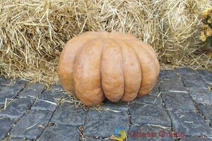 Витрины одесских магазинов и кафе украсили город к Хэллоуину (фото)