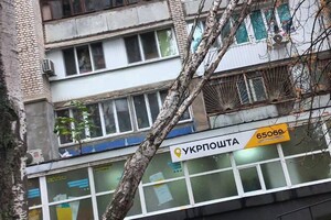 Непогода: сильный ветер в Одессе повалил 19 деревьев и больших веток (фото)