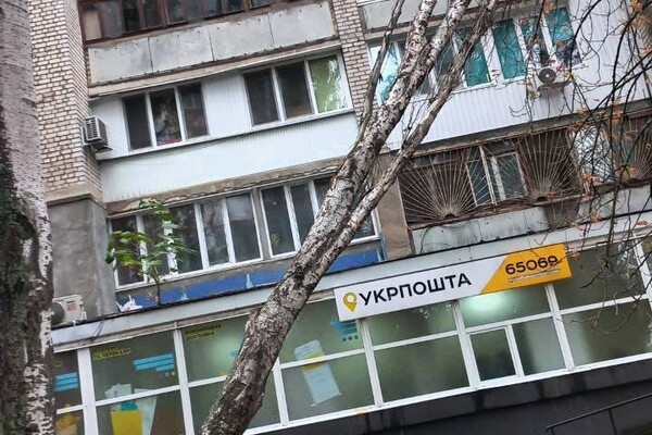 Непогода: сильный ветер в Одессе повалил 19 деревьев и больших веток (фото)