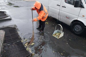 Непогода: сильный ветер в Одессе повалил 19 деревьев и больших веток (фото)