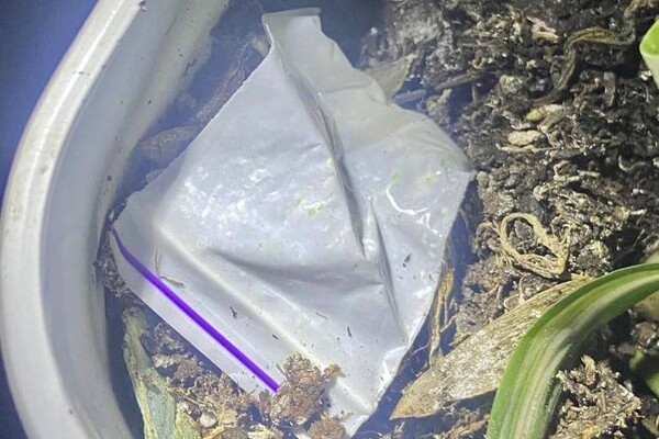 Одесситы устроили веселье в клубе на Канатной во время комендантского часа