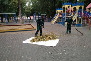 Непогода: сильный ветер в Одессе повалил 19 деревьев и больших веток (фото)