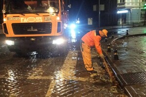 Непогода: сильный ветер в Одессе повалил 19 деревьев и больших веток (фото)