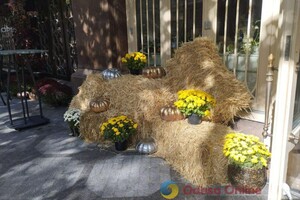 Витрины одесских магазинов и кафе украсили город к Хэллоуину (фото)