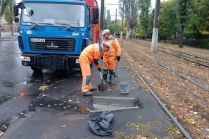Непогода: сильный ветер в Одессе повалил 19 деревьев и больших веток (фото)