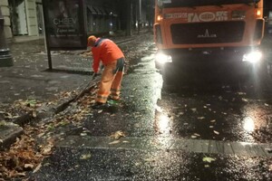 Непогода: сильный ветер в Одессе повалил 19 деревьев и больших веток (фото)