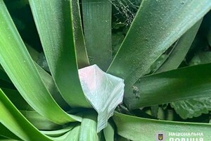 Одесситы устроили веселье в клубе на Канатной во время комендантского часа