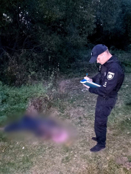 Жахлива смерть під Києвом: житель столичної області загинув через напад комах