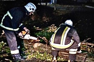 Деревопад и обесточенные населенные пункты: к каким последствиям привела непогода в Одесской области
