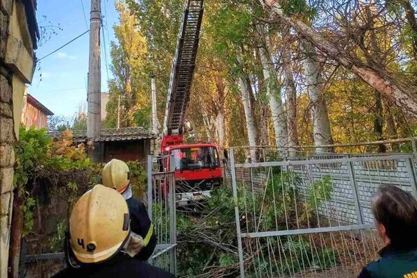 Деревопад и обесточенные населенные пункты: к каким последствиям привела непогода в Одесской области