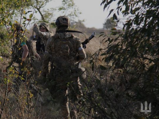 Головне завдання — відтіснити ворога подалі від правого берега Дніпра: у Генштабі прокоментували захоплення морпіхами плацдарму на лівобережній частині Херсонщини