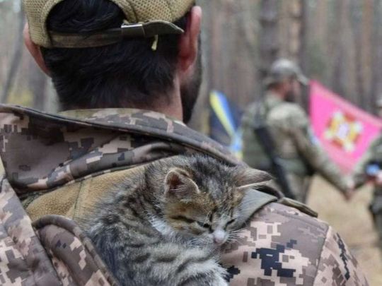 Відпустка для військових за сімейними обставинами: у яких випадках вона передбачена і як її оформити