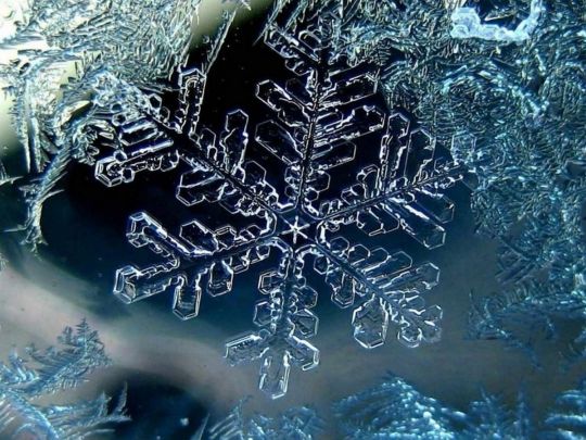 Чи справді немає двох однакових сніжинок: вчені дали пояснення
