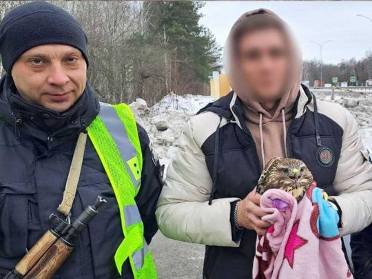 Кожне життя важливе: на Київщині патрульні врятували хижого птаха