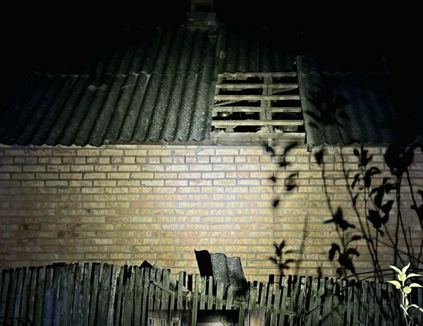 Вночі ворог випустив по мирним містам України 48 дронів-вбивць: скільки «шахедів» збила ППО