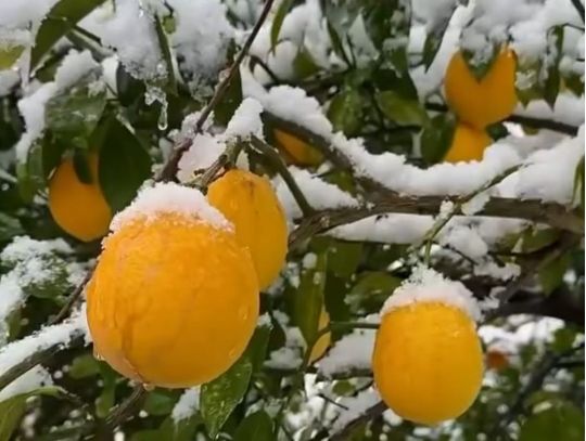 Водоліям — вдалі покупки, а Терезам — важливі зустрічі: що обіцяють зорі, Анжела Перл та погода 17 січня