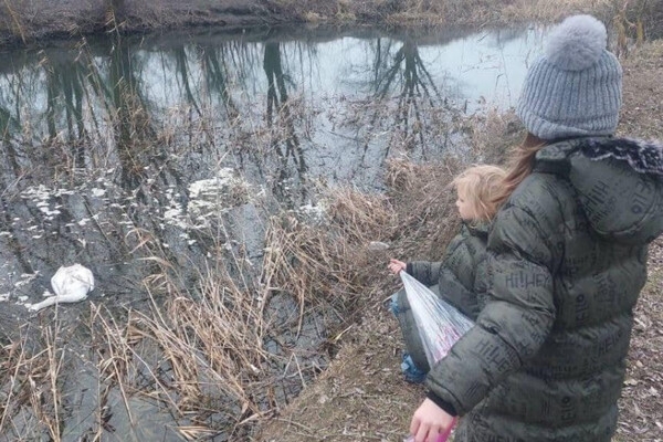 В Одесской области фиксируют загадочные случаи гибели лебедей