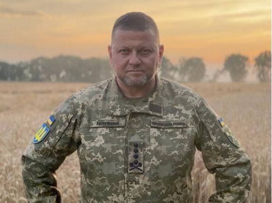 «Не варто було міняти одного на іншого, який нічим не кращий»: британський експерт про звільнення Залужного