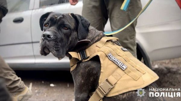 Одеса в жалобі: серед загиблих від удару росії по місту виявилася родина військових з 7-місячною донькою