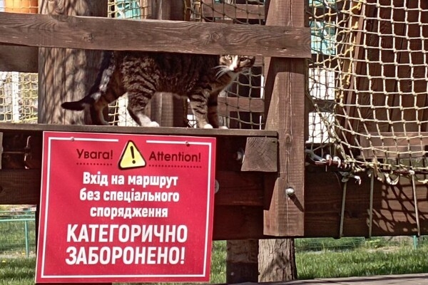 Сходи с малышами: где в Одессе искать веревочные парки