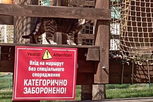 Сходи с малышами: где в Одессе искать веревочные парки