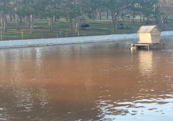 Коричневая вода в парке Победы: коммунальшики наконец-то нашли выход 